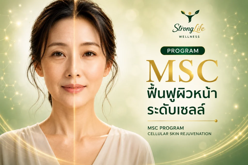 Program MSC celluar skin Rejuvenation