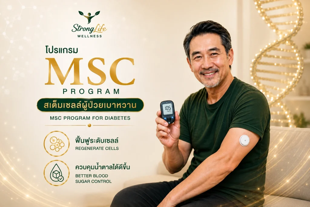 Program MSC for Diabetes