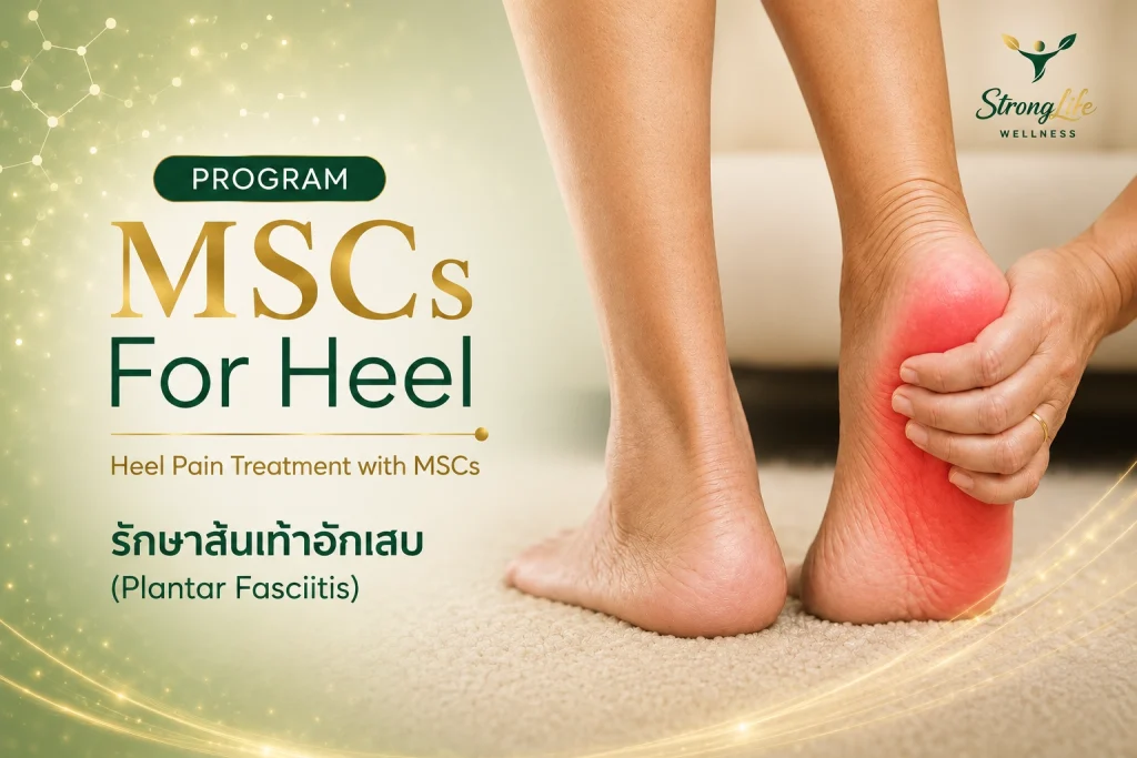 Program MSCs for Heel