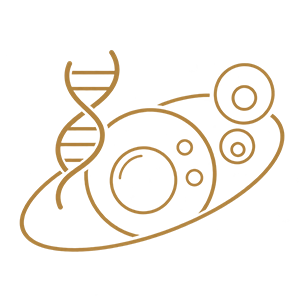 Stemcell